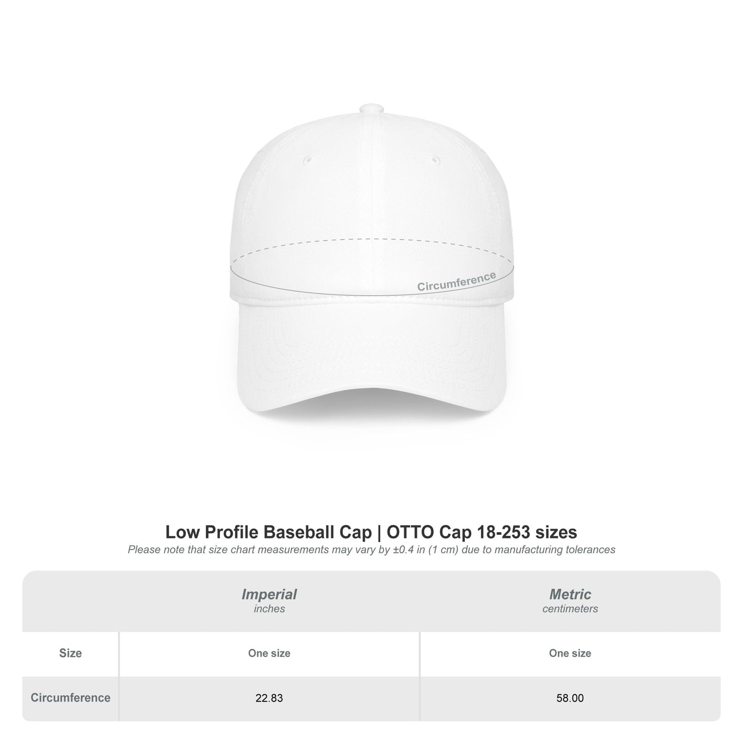 I AM BLESSED 01-01 Designer OTTO CAP Dad Hat (2 colors)