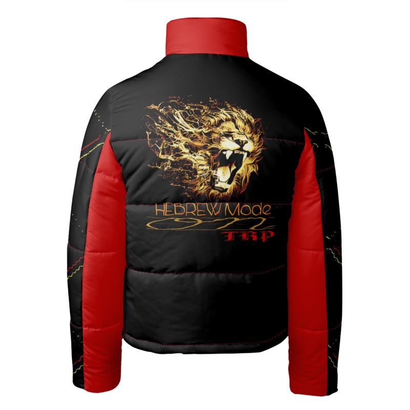 Hebrew Mode - On 02 Men's Designer Stand Collar Puffer Jacket