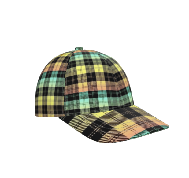 Picture Plaided 01-01 Ladies Designer Baseball Cap