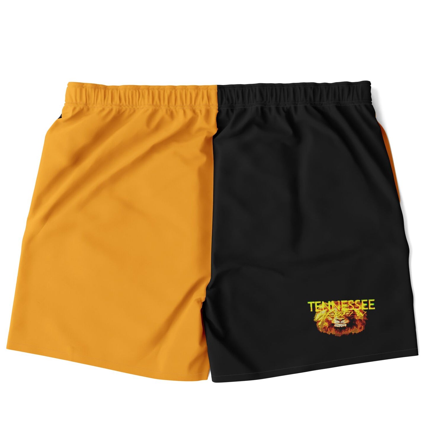 Tennessee Hebrew 01 Men's Designer Plus Size Swim Trunks