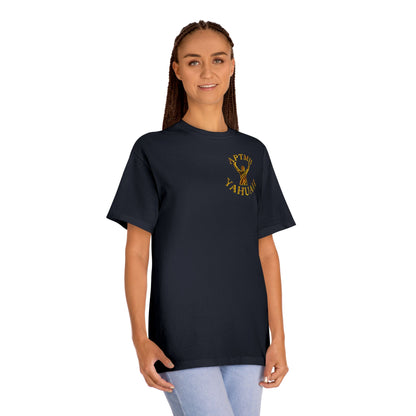 All Praise The Most High Yahuah 01-01 Designer American Apparel Unisex Classic T-shirt (5 colors)