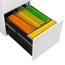Cargar imagen en el visor de la galería, 2 Drawer Steel Mobile Rolling File Cabinet with Lock on Anti-tilt Wheels (White)
